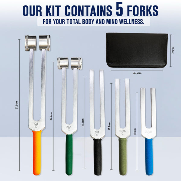 Planetaire Therapie Tuning Vork Chakra Set, 7 stuks - Made IN DUITSLAND - voor geluidsgenezing, yoga en meditatie, Premium vernikkeld staal met ergonomische kurkhandgrepen, 2 JAAR GARANTIE Planetaire Therapie Tuning Vork Chakra Set, 7 stuks - Made IN DUITSLAND - voor geluidsgenezing, yoga en meditatie, Premium vernikkeld staal met ergonomische kurkhandgrepen, 2 JAAR GARANTIE