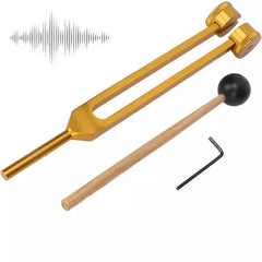 Ear wellness aid

