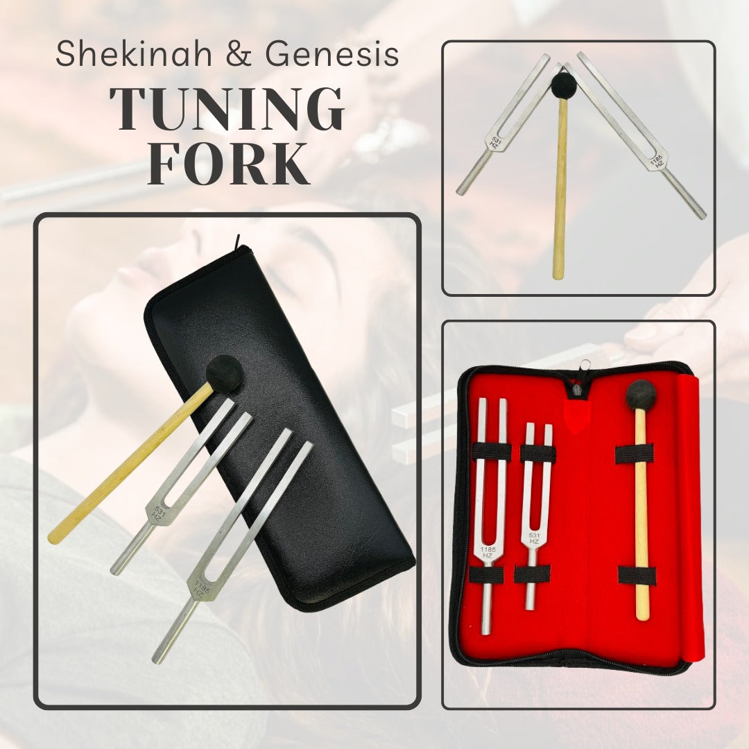 DNA activation kit

