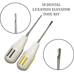 Tooth Extraction Kit Dental 10 Luxating Elevators Surgical Periotome Set Case