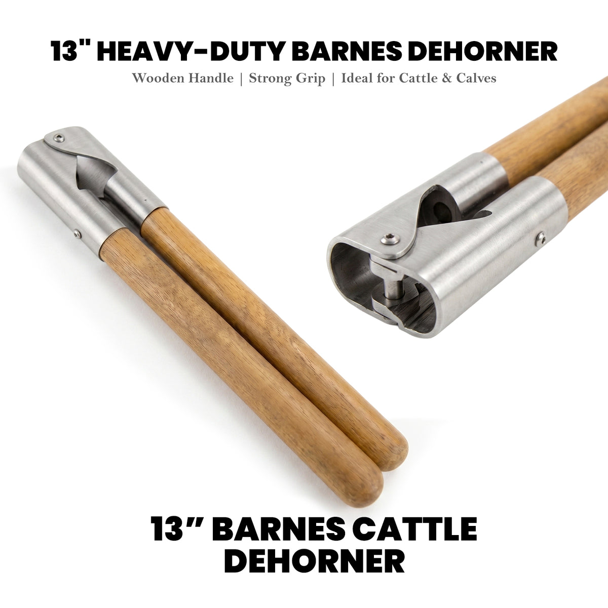 13 inch Barnes dehorner, wooden handles – view 2