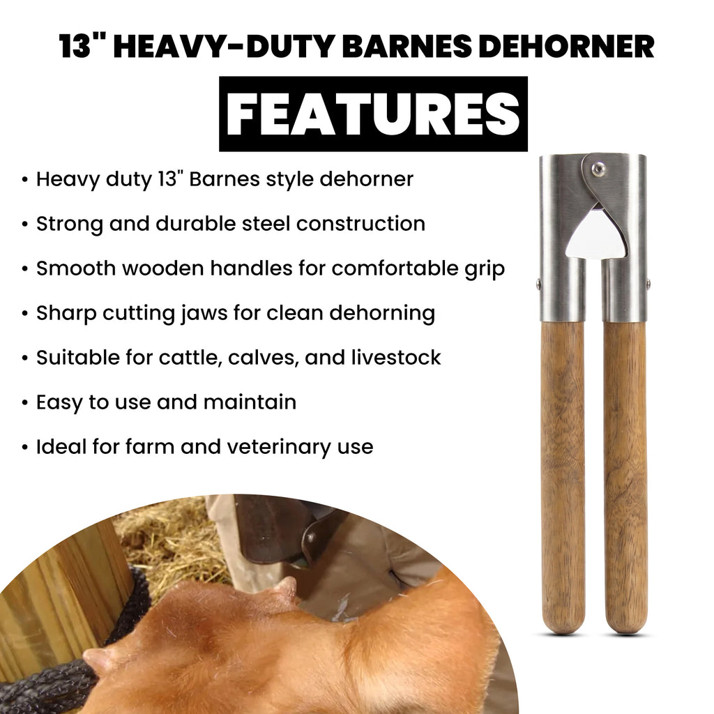 13 inch Barnes dehorner, wooden handles – view 5