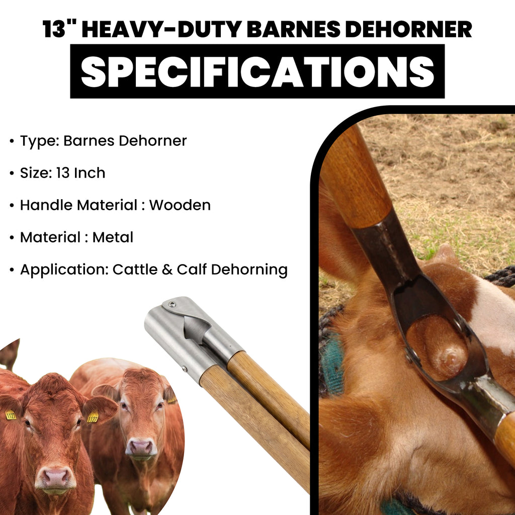 13 inch Barnes dehorner, wooden handles – view 6
