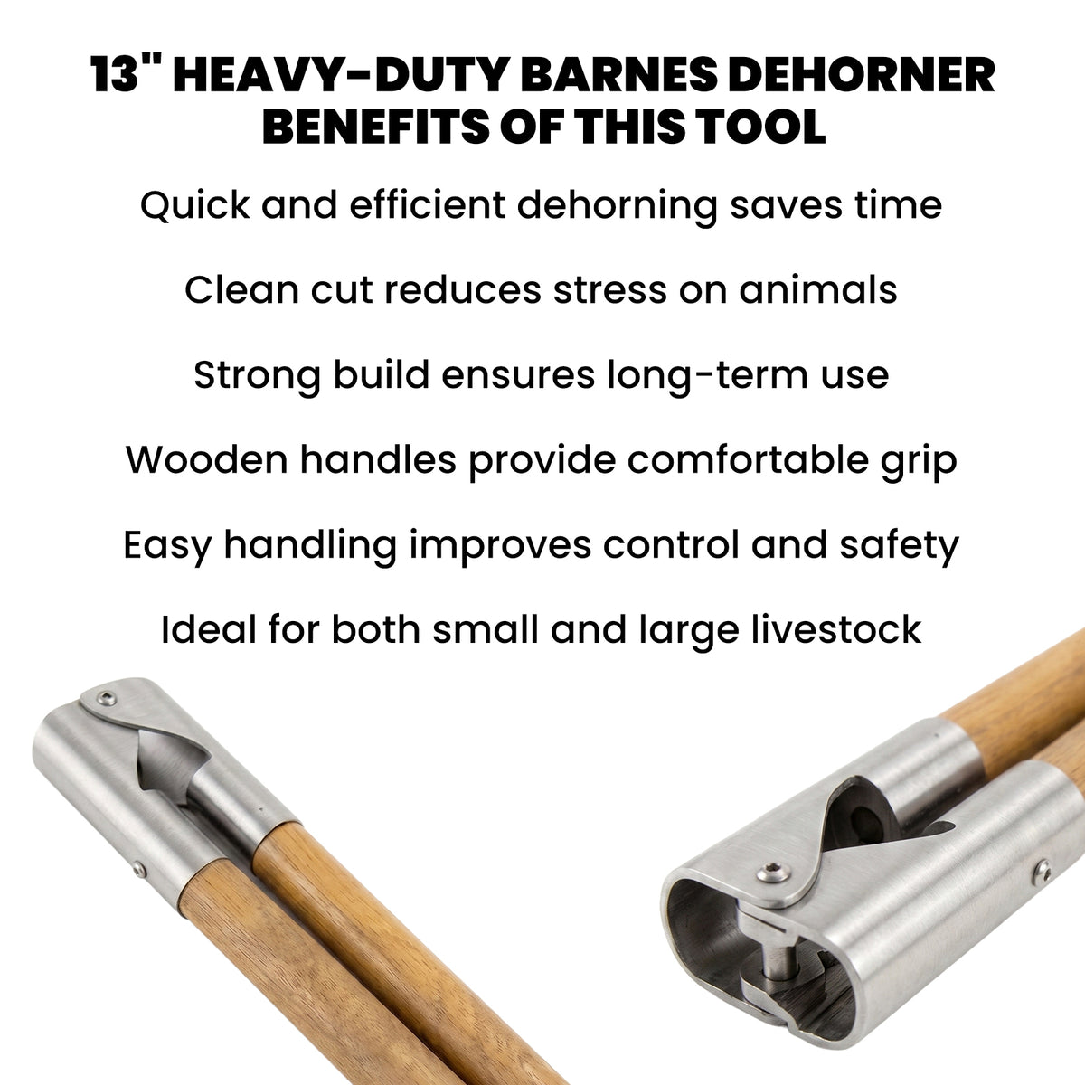 13 inch Barnes dehorner, wooden handles – view 7