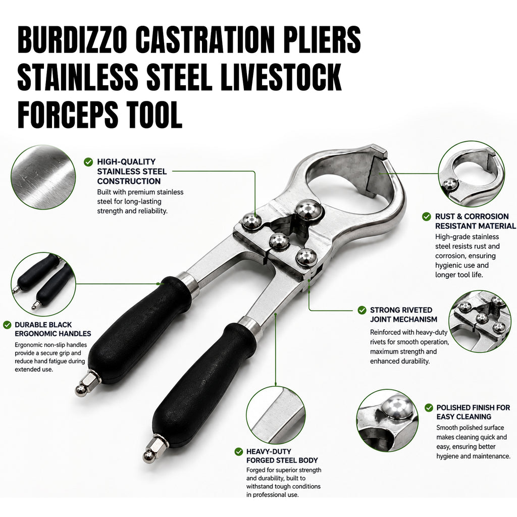 Large 41cm bloodless castration forceps – view 3
