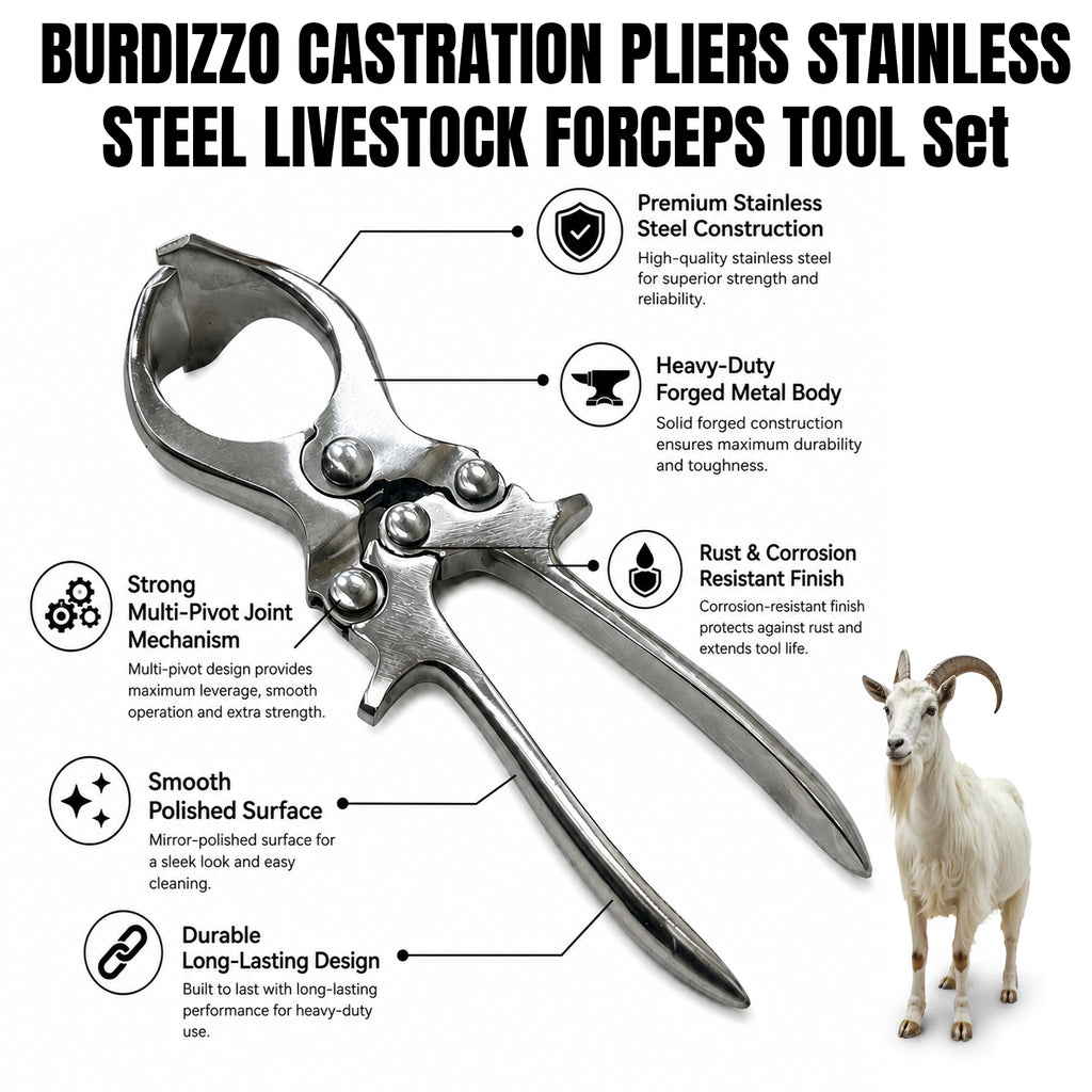 Small 23cm castration forceps – view 2