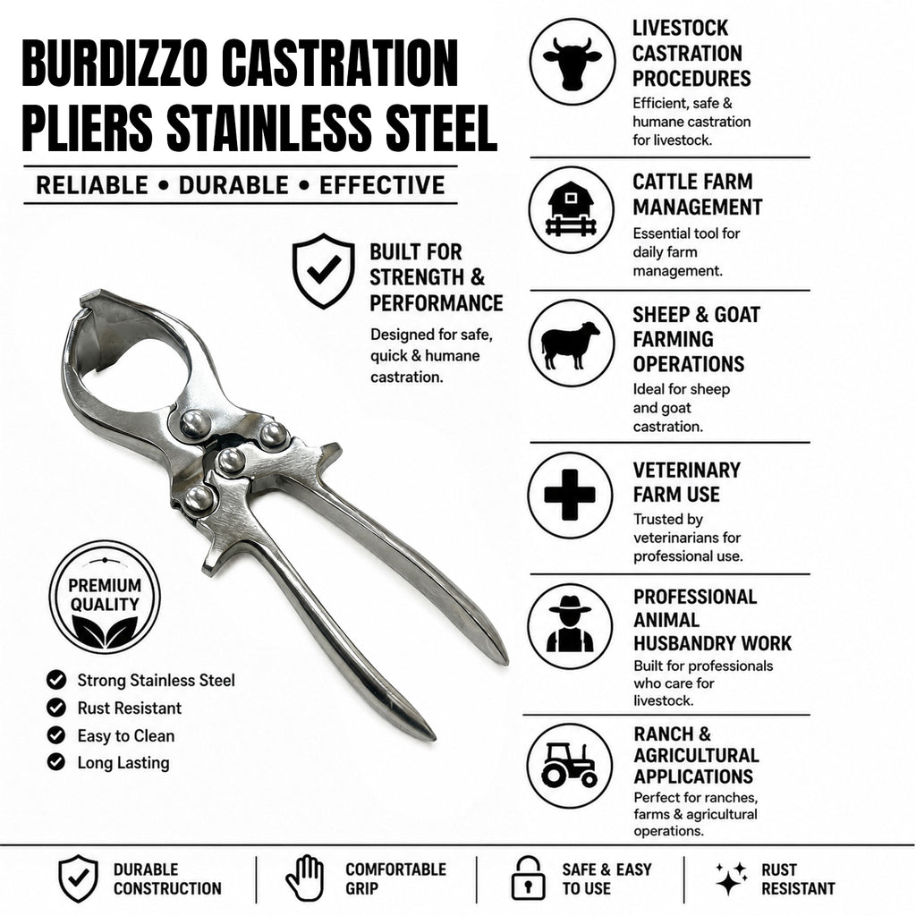 Small 23cm castration forceps – view 3