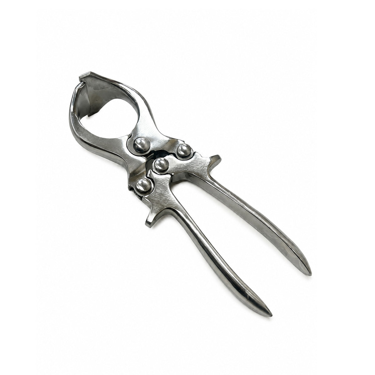 Small 23cm bloodless castration forceps for sheep, lambs and goats