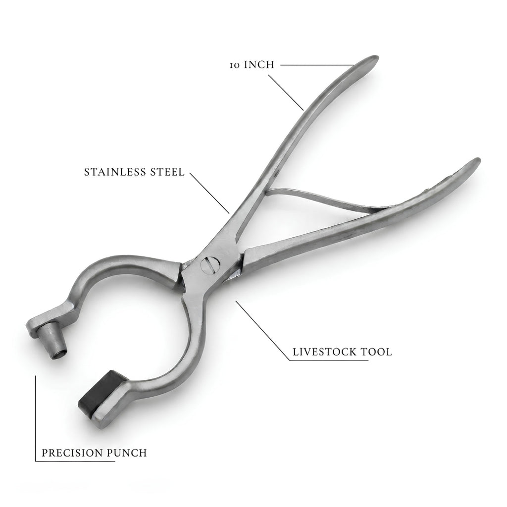 Bull nose ring punch pliers – view 3