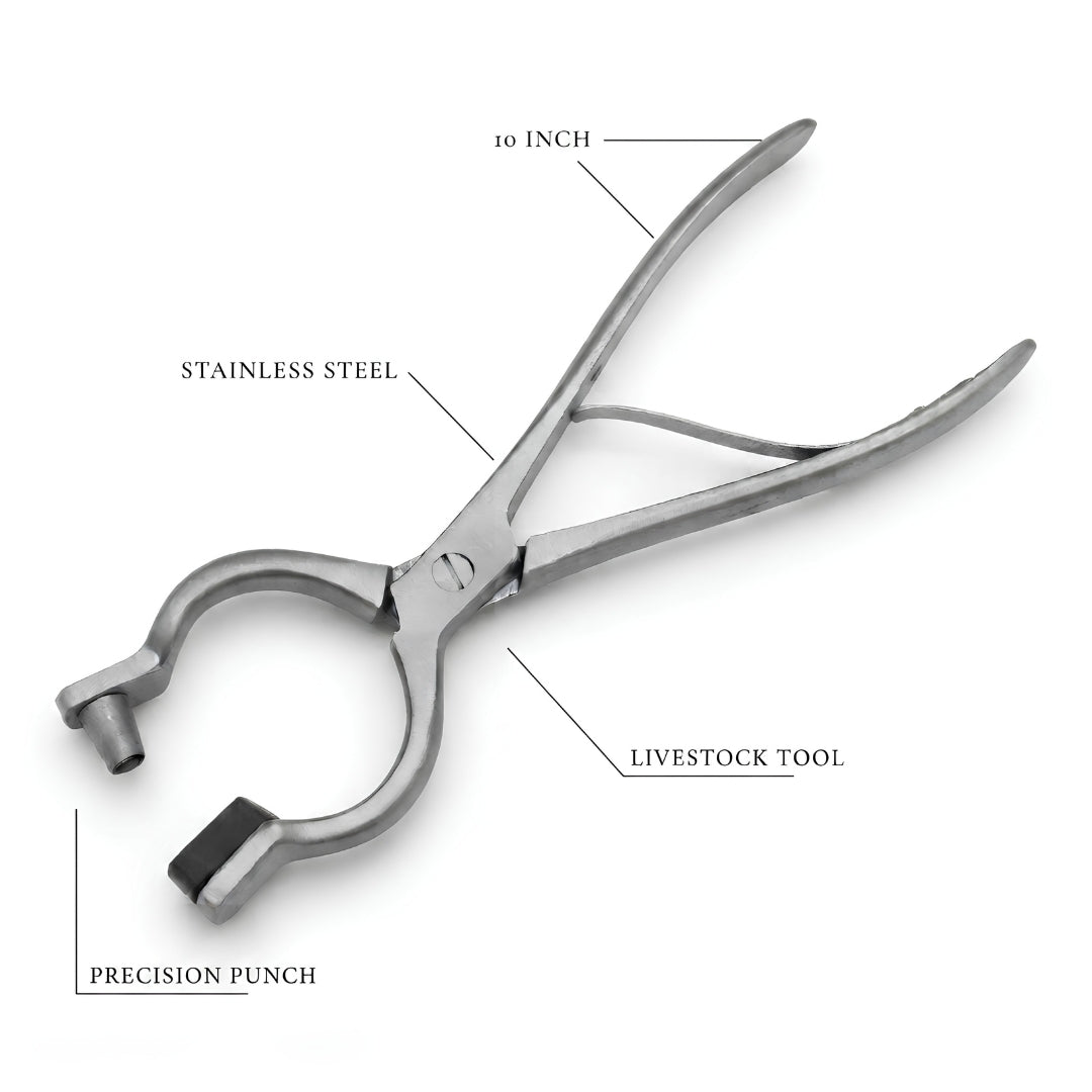 Bull nose ring punch pliers – view 3