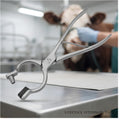 10 inch stainless steel bull nose ring punch pliers