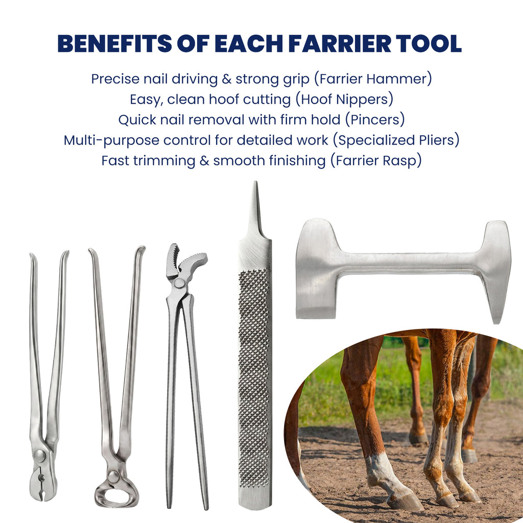 5 piece farrier hoof trimming kit – view 9