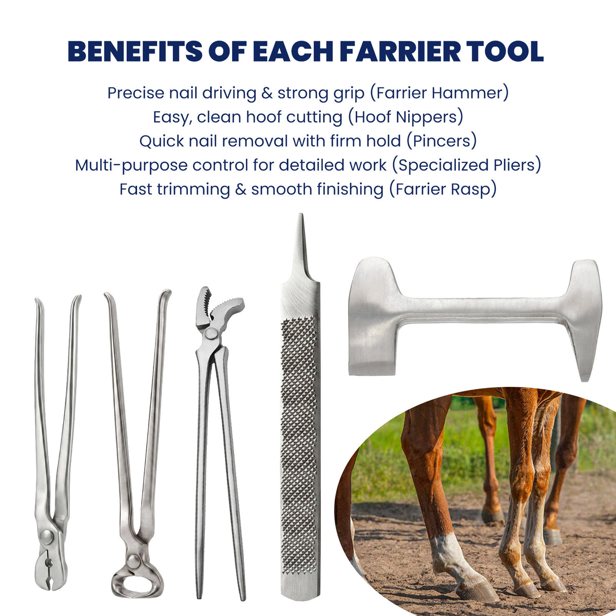 5 piece farrier hoof trimming kit – view 9