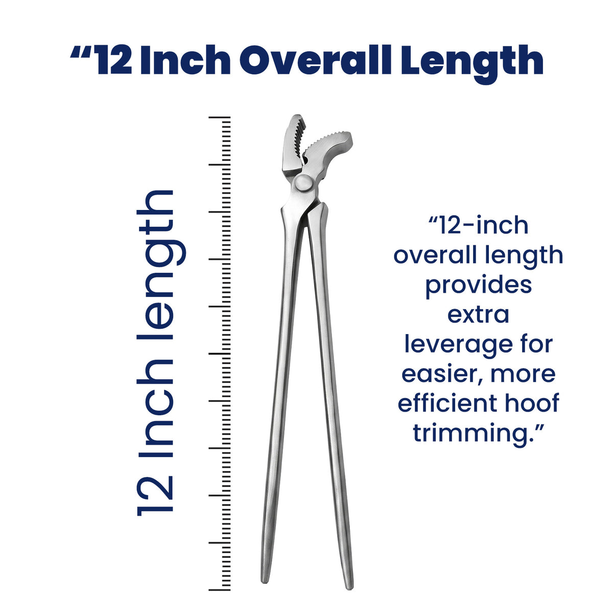 12 inch farrier nail clincher – view 6
