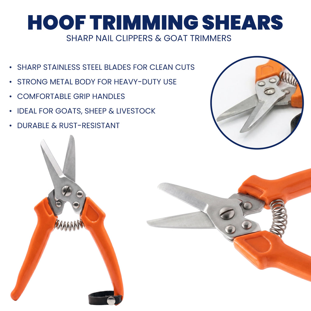 9 inch orange hoof trimming shears – view 2