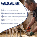 9 inch orange hoof trimming shears – view 4