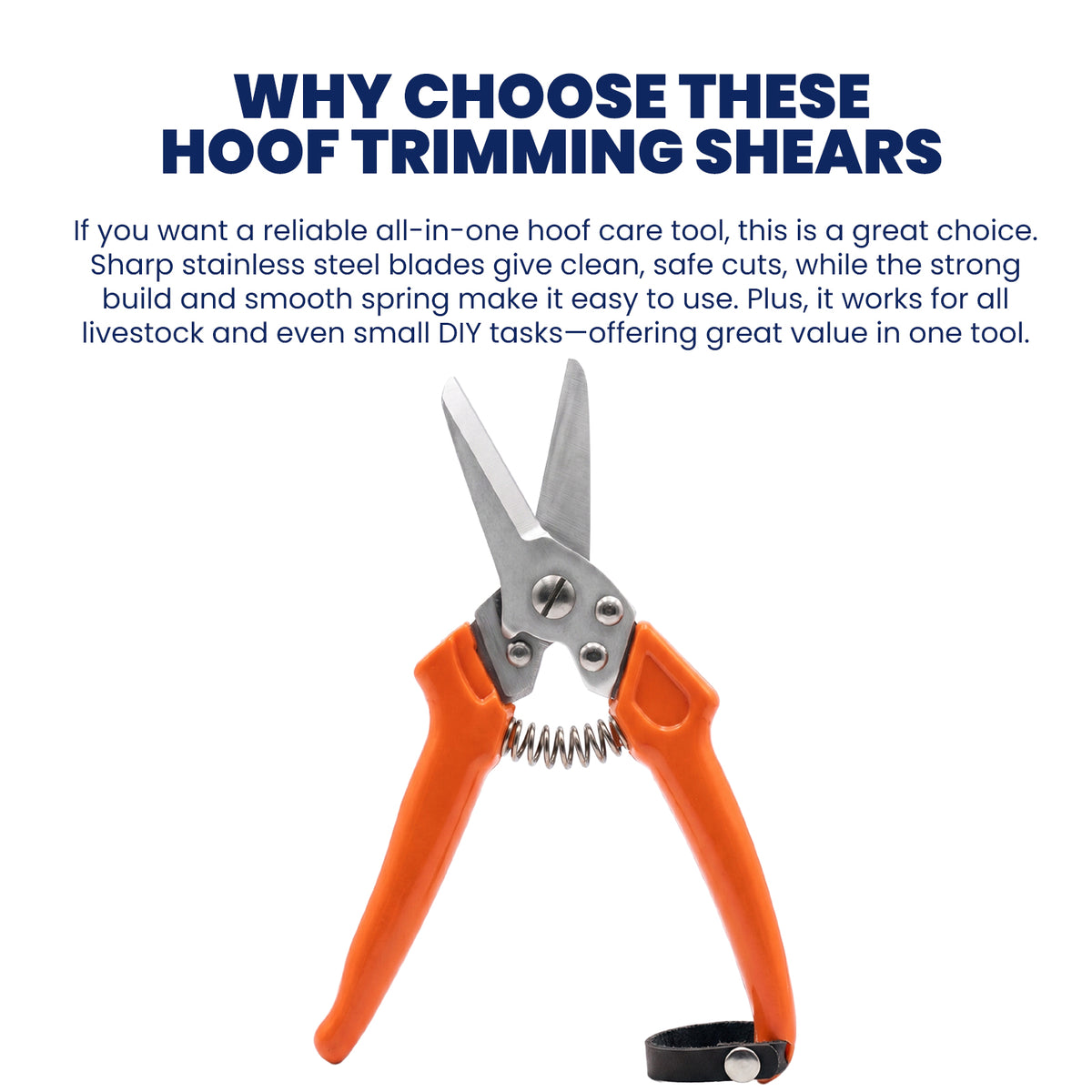 9 inch orange hoof trimming shears – view 8