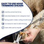 9 inch hoof trimming shears – view 4