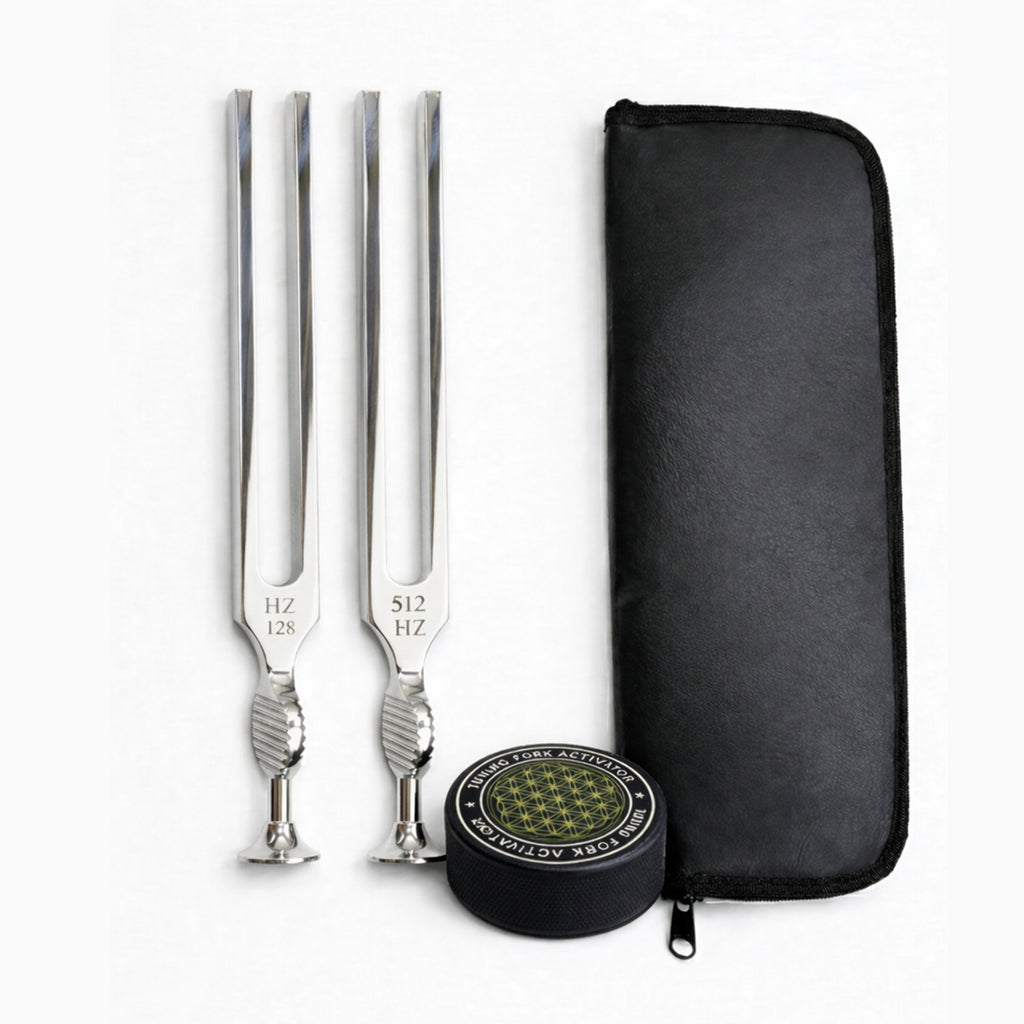 Medical tuning fork set 128 Hz and 512 Hz with case and activator – image 1