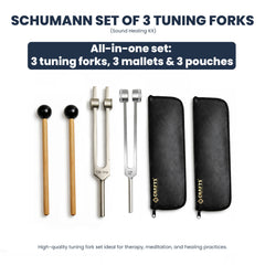 NS Crafts Schumann weighted tuning fork set 136.1 Hz and 128 Hz with mallet and pouch – image 2